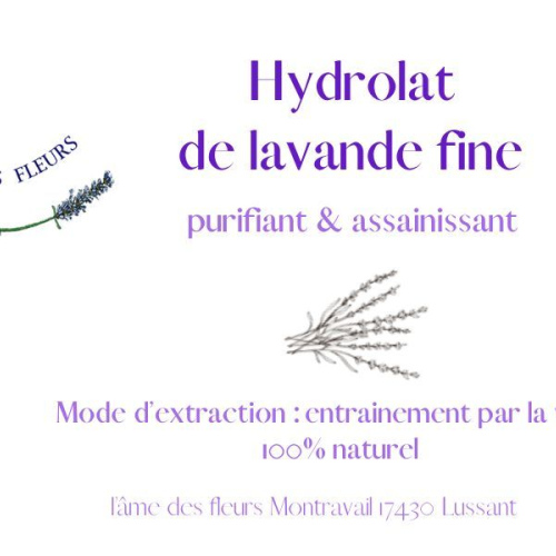 Hydrolat de lavande fine 250ml